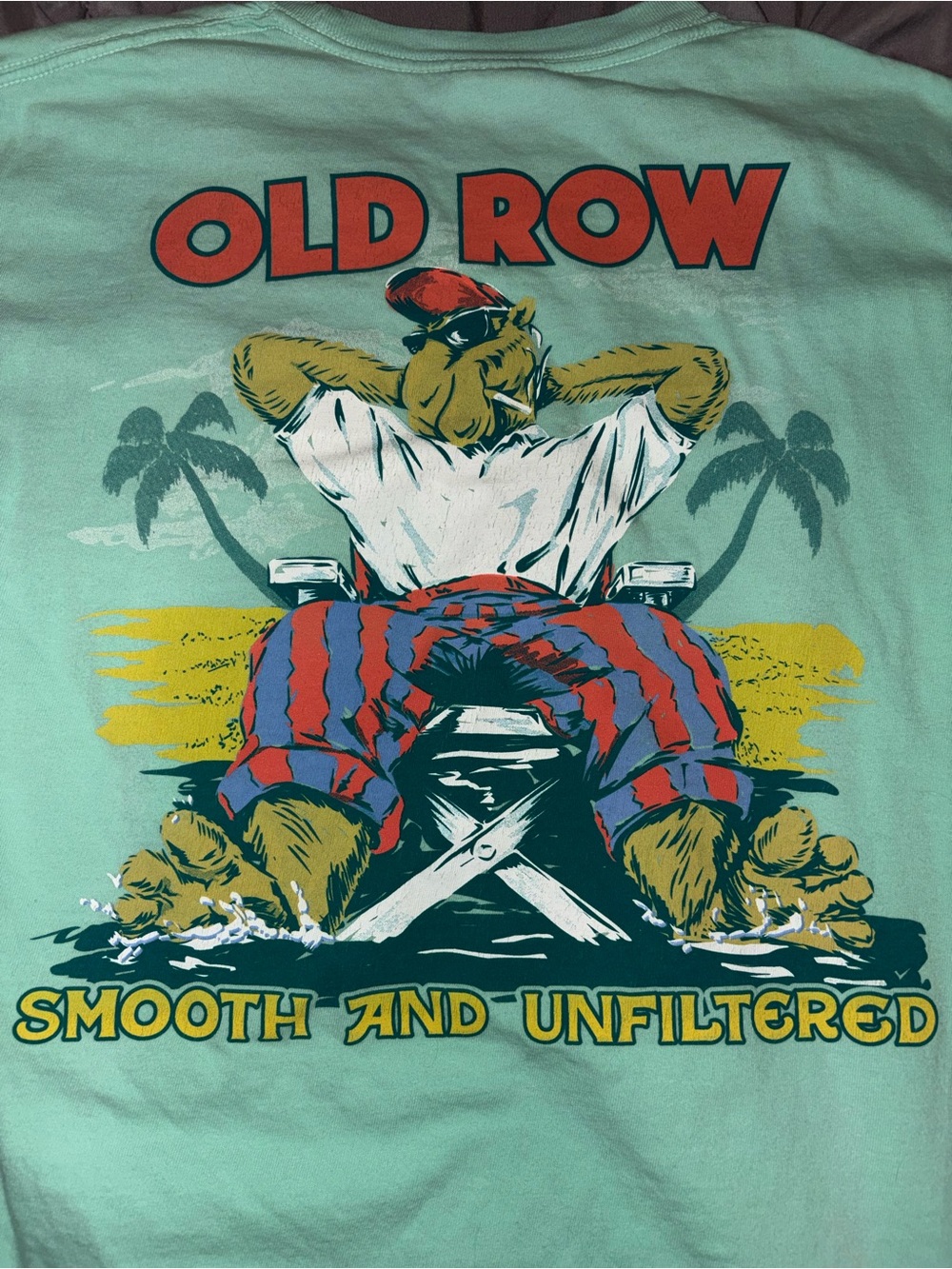 Comfort Colors Mint 'Old Row' Smooth and Unfiltered Graphic Tee